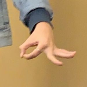 Meet your Posher, Ava